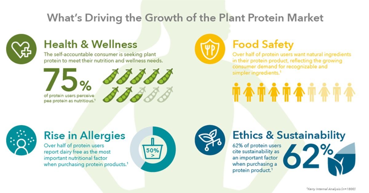 Health Benefits of Vegetarian Protein